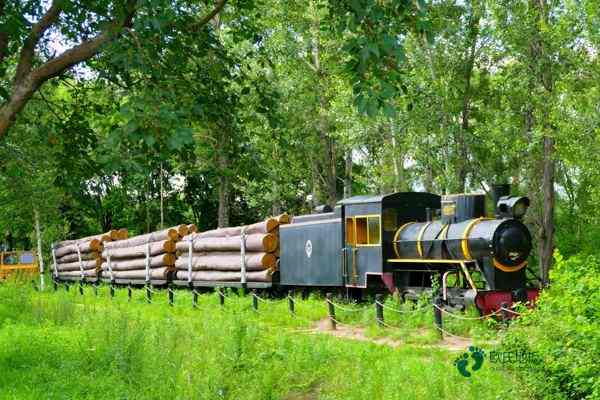 學(xué)?；@球場(chǎng)館木地板哪里買好1