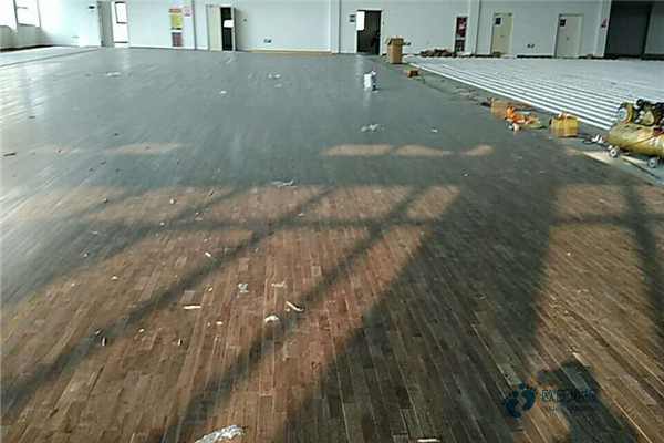 楓樺木運動籃球木地板報價