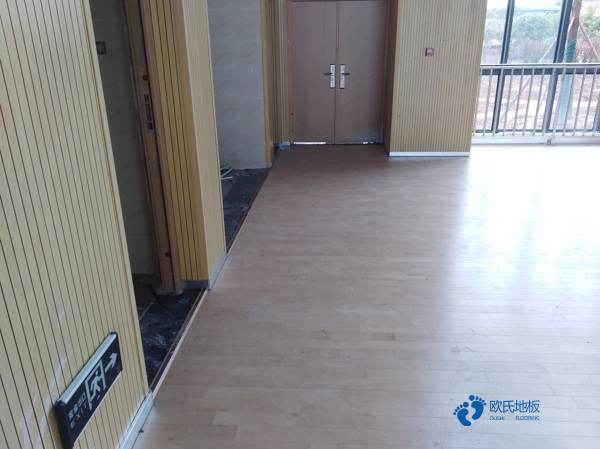 體育運(yùn)動木地板結(jié)構(gòu)穩(wěn)固的秘密3